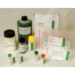 ELISA Diagnostic Kits for plant pathogen 